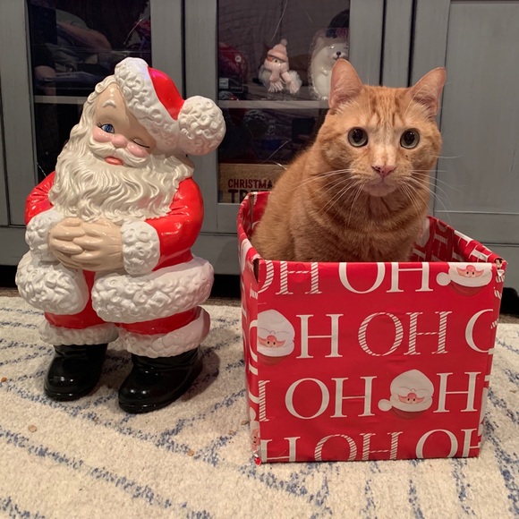 Meet your Posher, Kathleen - Picture 2 of 4